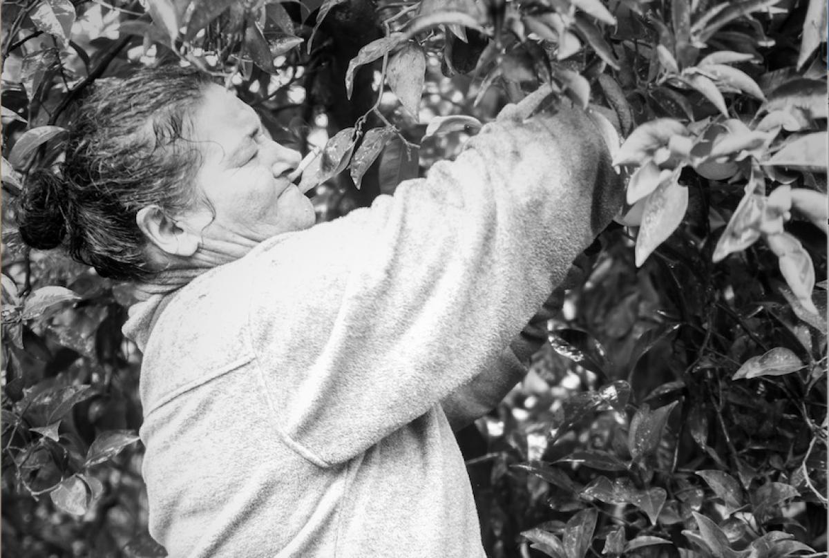 Mujer trabajando en la naranja. Foto de Patri García